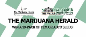 Welcome To Our Friends From The Marijuana Herald!