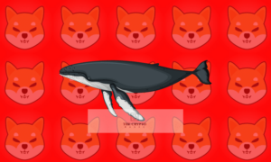 לווייתנים אוספים אסימוני Shiba Inu Ecosystem בשווי 545 אלף דולר