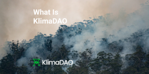 What Is KlimaDAO | CoinStats Blog