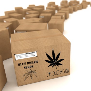 CANNABIS SEED SALES LEGAL ONLINE
