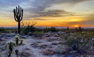 7 puščavskih čudes: Raziskovanje parkov Scottsdale, AZ