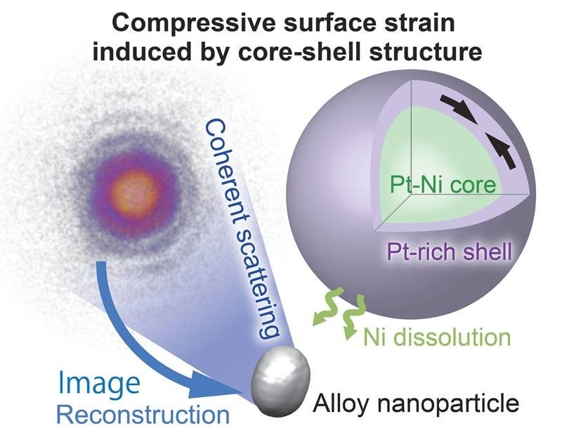 Nikkeli-platina nanokokoinen ydin platinakuorella murtaa happimolekyylit hyödyllisiksi ioneiksi
