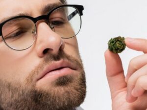 A Stoner's Guide to Stop Cannabis - Vent, hvad? Hvorfor ville du gøre det?