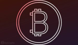Έγκριση εισερχόμενη; Η SEC Αναγνωρίζει επίσημα την εφαρμογή Spot Bitcoin ETF της BlackRock