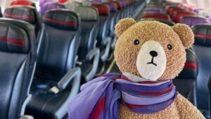 Bjørnetrafikkkontroll: Virgin gjenforener bestevenner etter søk