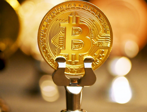 Bitcoins prisstigning vs. falming Oppmerksomhet: Avdekke den spennende dikotomien i kryptomarkedet