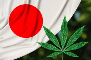 Canna-Anfänger: Wie man Cannabis in Japan legal konsumiert