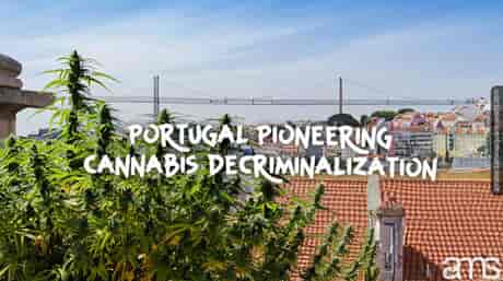 vue sur Lisbonne au Portugal et plants de cannabis