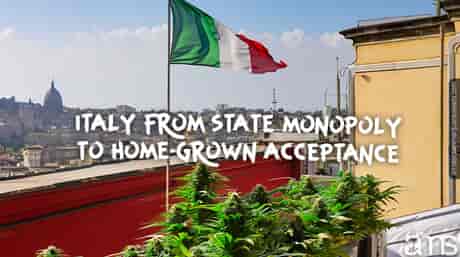 vue sur Naples en Italie et plants de cannabis