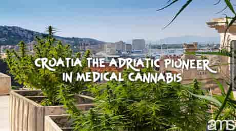 vista de Split na Croácia e plantas de cannabis