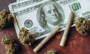 Pazzi confronti tra lotterie e industria della marijuana