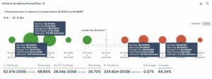 Dogecoin Price Analysis: What's Next For DOGE?