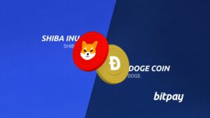 Dogecoin مقابل Shiba Inu: ما الفرق؟ | BitPay