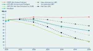Petrol Arzını Ortadan Kaldırmak: Karbon Kredisi Piyasasında Yeni Bir Paradigma