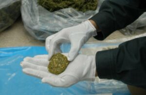 Fortune Teller, der tilbød marihuana-cookies ved 'Luck Boosting'-begivenheden fundet skyldig - medicinsk marihuana-programforbindelse