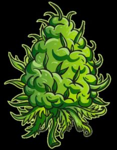 Har du Bush? De 5 bästa tipsen för att odla massiva buskiga cannabisknoppar (fördjupad guide)