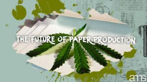 ورق القنب: مستقبل مستدام لصناعة الورق