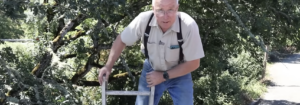 Como subir uma escada com segurança
