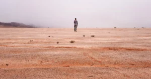 В жестокой пустыне микробные «корки» показывают, как жизнь приручила землю | Журнал Кванта