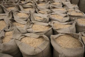 India keelab hindade kontrollimiseks mõne muu kui basmati riisi ekspordi