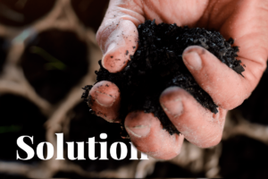 Bemutatkozik a bioszén: egy új, innovatív széntároló megoldás