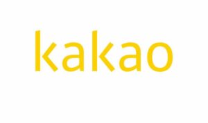 Kakao Wins Government Contract to Build State-Backed Metaverse Healthcare Platform - NFTgators