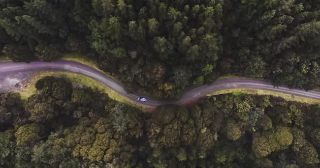 Aerial View Of Road Amidst Trees