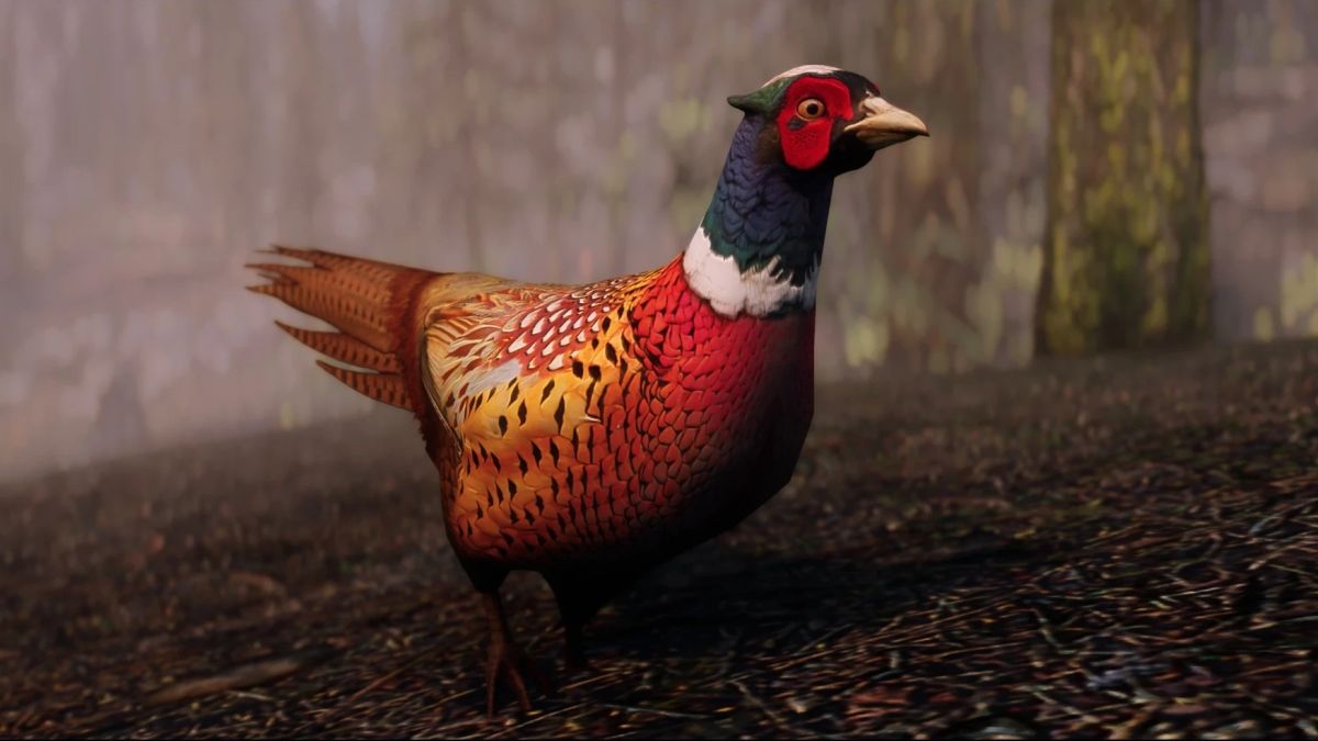 Mod Skyrim yang ramah pengetahuan memperbaiki kesalahan realisme yang paling mencolok: Burung pegar