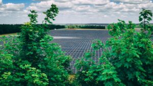 Low Carbon zagotavlja prelomno naložbo družbe MassMutual za spodbujanje rasti obnovljivih virov energije - 1 | Nizkoogljična