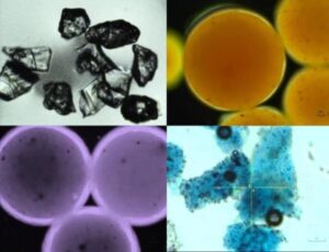 Magnetiske nanofjedre nedbryder mikroplastiske forurenende stoffer – Physics World