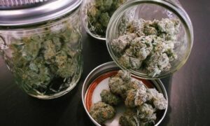 Maryland inleder laglig cannabisförsäljning