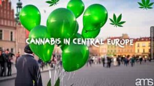 La rivoluzione della cannabis terapeutica nell'Europa centrale: un'immersione profonda