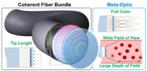 Meta-optiske fibre reduserer endoskoper – Physics World