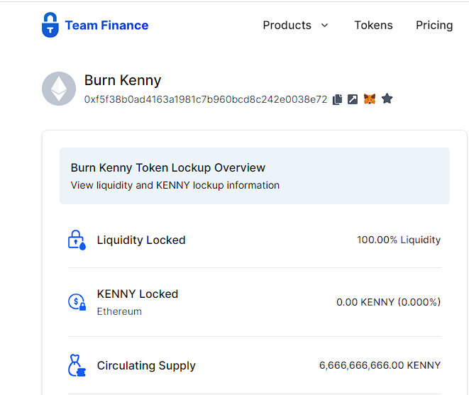 Burn-Kenny-Locked-Liquidity-On-Team-Finance-Website