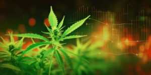 Nova pesquisa sobre o estado da indústria de cannabis nos EUA pela Coinpaper
