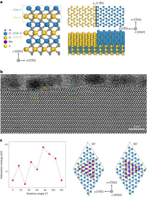 Orientiertes seitliches Wachstum zweidimensionaler Materialien auf c-Ebenen-Saphir – Nature Nanotechnology