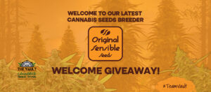 Original Sensible Seeds - ¡Nuevo obtentor! - ¡Donar!