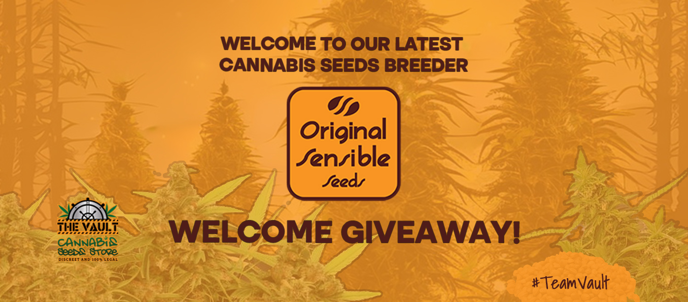 Original Sensible Seeds – New Breeder! – Giveaway!