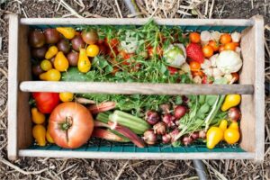 Reducing household food waste – good for the pocket and the environment