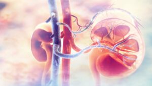 Renalytix が KidneyIntelX.dkd テストの FDA De Novo 認可を取得