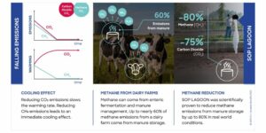 Revolutionerande hållbarhet för mejeriprodukter: Minska metanutsläppen med 80 %