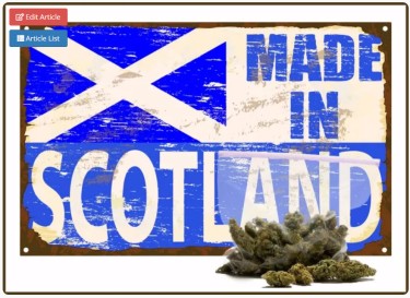 スコットランドの大麻労働者