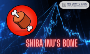 Шиба-ину: рост BONE почти на 50% за 14 дней по мере приближения запуска шибариума