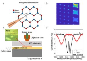 Spin defects in hexagonal boron nitride created by helium ion bombardment