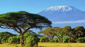 Tansania-Projekte zur Emissionsgutschrift locken Unternehmen in Höhe von 20 Milliarden US-Dollar an