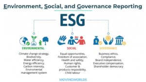 Die 10 besten ESG-Berichte und was Sie daraus lernen können
