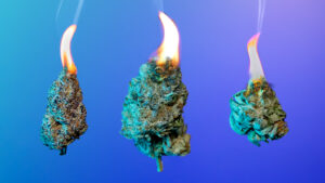The 8 best fire strains