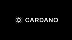 Cardano-Blockchain-Treffen in Austin