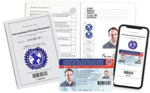 Viaje com facilidade: obtenha uma carteira de motorista internacional para dirigir no exterior com um PDI – World News Report - Conexão do Programa de Maconha Medicinal