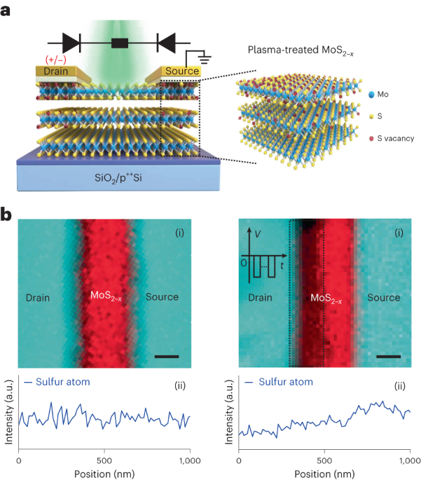 Rivelatori fotovoltaici riconfigurabili e non volatili a due terminali - Nature Nanotechnology